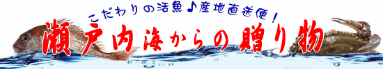 �V�R�C�Y���I�̎��Ȃ�Y��������ǂɂ��C���������B