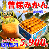 最高級曽保みかんの通販