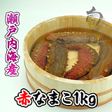 瀬戸内海!赤なまこの通信販売店♪