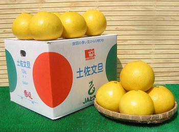 ���m�Y�I�ō����y���̔g��U4L10kg����I