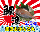 ����I���H�����߁I�߂ő�I�ʔ̕ցI�V�N�s��y�Y��������ǁz
