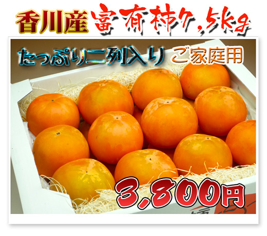 ご家庭用柿/訳あり柿の通販専門店