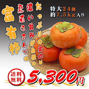 果物の通販/かきの専門店