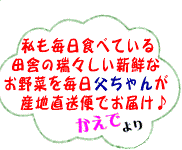 今が旬のうまいもんは、かえでにお任せ♪