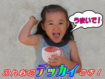 かえでちゃんもお勧めの桃はコレだ!】