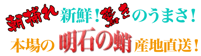 明石の蛸をお取り寄せ♪明石の蛸は日本一!