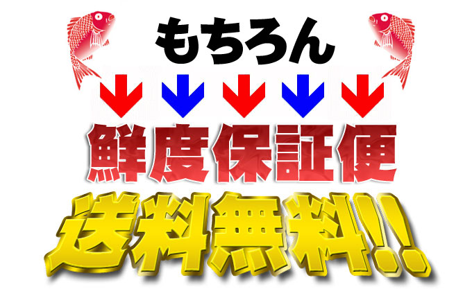 ���Ε鑗�������ցI�N���A�C�Y���̎��Ȃ�V�N�s��y�Y��������ǁz