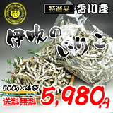 伊吹のいりこの通販。