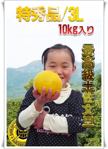 文旦の通販/お取り寄せサイト。新鮮市場【産直あきんど】
