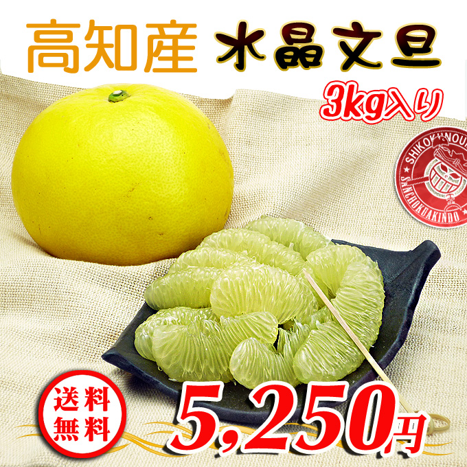 高知産!土佐文旦の通販/お取り寄せサイト
