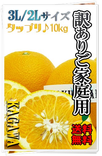八朔10kgの通販サイト。
