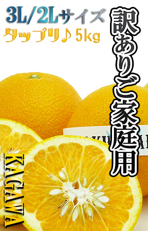 送料無料!ご家庭用のはっさく10kg