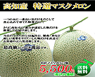 高知産!最高級マスクメロン2個セット