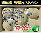 高知産!最高級マスクメロン5個セット
