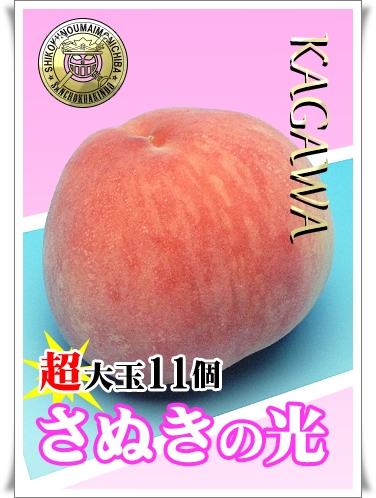 飯山の桃の通販/価格