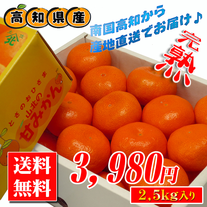 高知産!ハウスみかんの通信販売店!新鮮市場【産直あきんど】