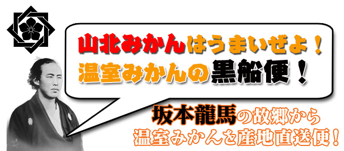 高知の産直通販便!ハウスみかんの事なら新鮮市場【産直あきんど】