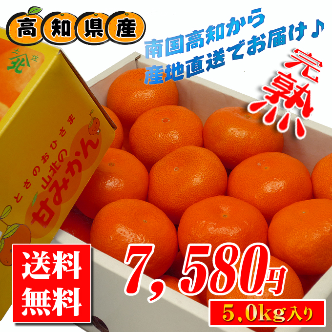 高知産!温室みかんの通販宅配便♪