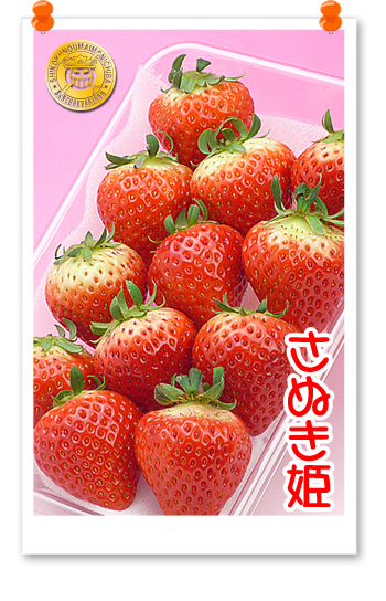 産直あきんどが厳選したイチゴ。【さぬき姫イチゴ】