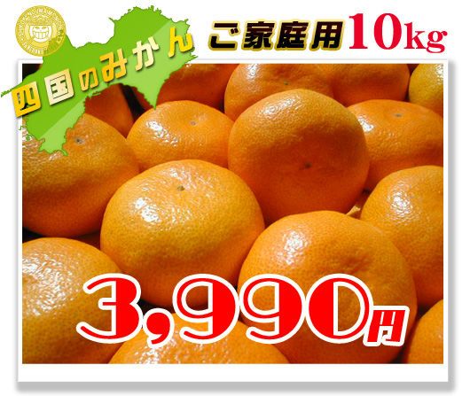 お買い得みかん/訳ありみかん/通販