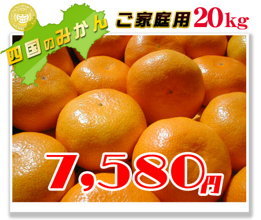 ご家庭用!みかん20kgの通販専門店!