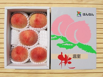香川産のおっきい桃5玉入り!プレゼント品!