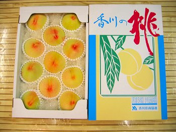 ���������P�P�ʓ���