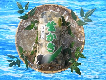 ���쌧�Y�I�����̓��吶���y�̔��g�P����