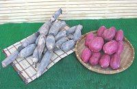 �y�t����񂱂�E������̃Z�b�g