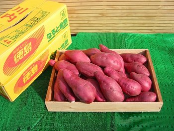�����������E������i���܂����jL10kg