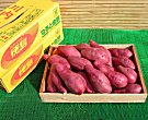 徳島産!鳴門金時芋L10kg