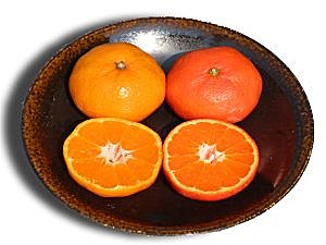 �����g�݂���̒ʐM�̔��X�w�Y��������ǁx