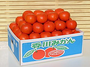 お歳暮/小原紅みかんの通販/お取り寄せ