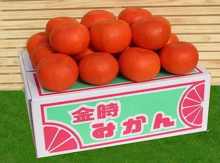 ����Y�I�����g�݂���Q�k�w���I�i�x�T����