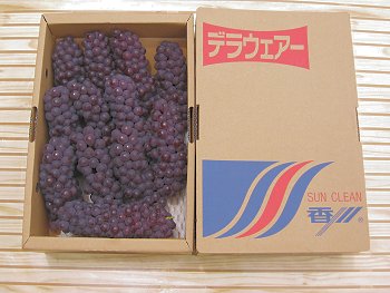 香川産!種なしぶどうデラウエアー2kg入り!