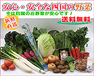 �l���̂���،���i�I��ؔ̔��X�I