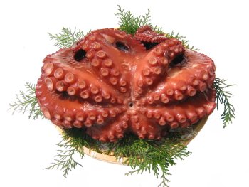 ���˓��C�Y�E���΂̑傽��1.5kg