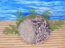 ���Q�Y����߂�500g�E�ω����Y�ɐ��ϊ������肱600g�Z�b�g
