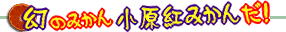 �����g�݂���I�]�ۂ݂���̒ʔ̂��I