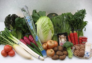 産地直送!新鮮お野菜セット!